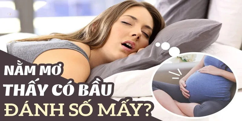 Sổ mơ có bầu